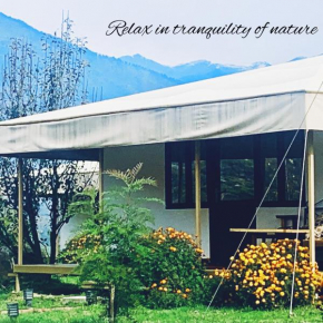 Soli Tree Luxury Camps